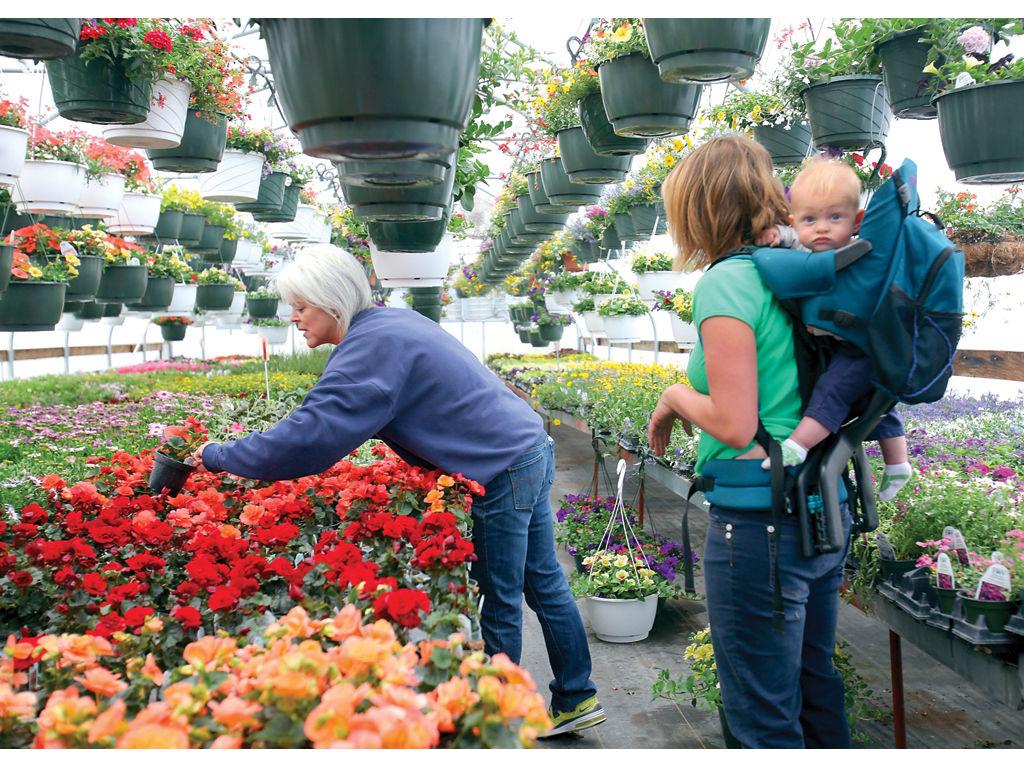 layton nursery helps patrons get a jump on summer pots News, Sports